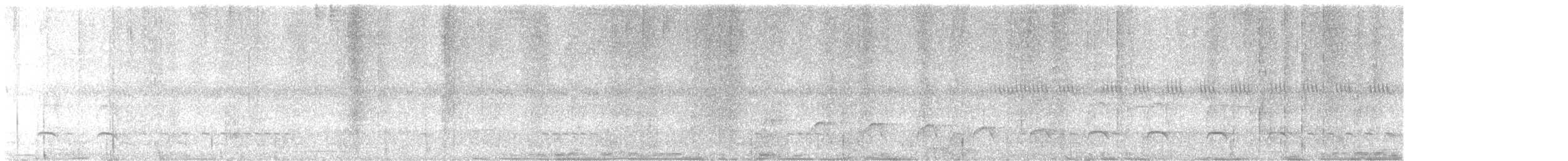 White-flanked Antwren - ML615398445