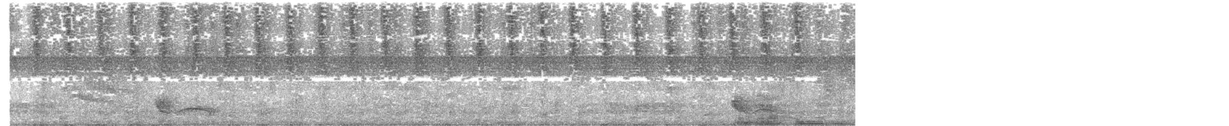 Swallow-tailed Manakin - ML615402530