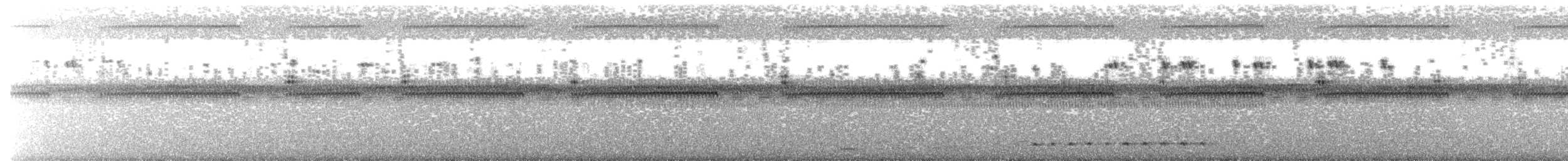 White-throated Nightjar - ML615410236