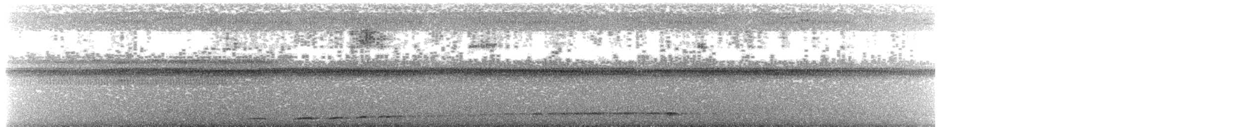 White-throated Nightjar - ML615411921