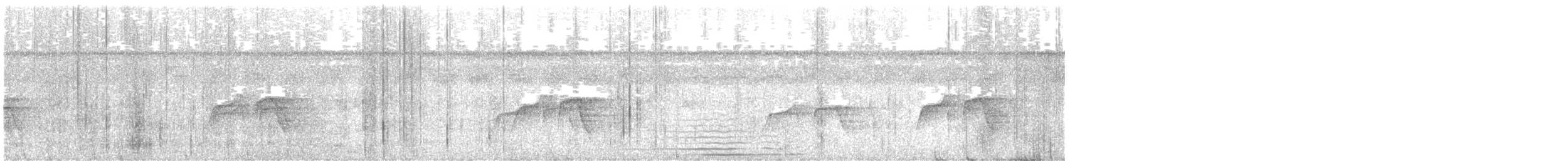 Мурав’янка-куцохвіст цяткована - ML615412187