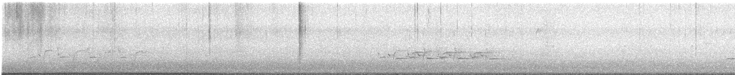 Troglodyte de Caroline - ML615412194