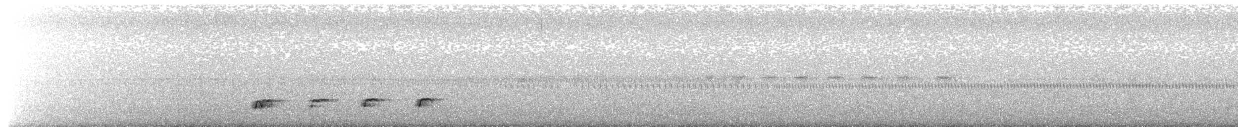Тихоокеанский коэль (cyanocephalus/subcyanocephalus) - ML615412703