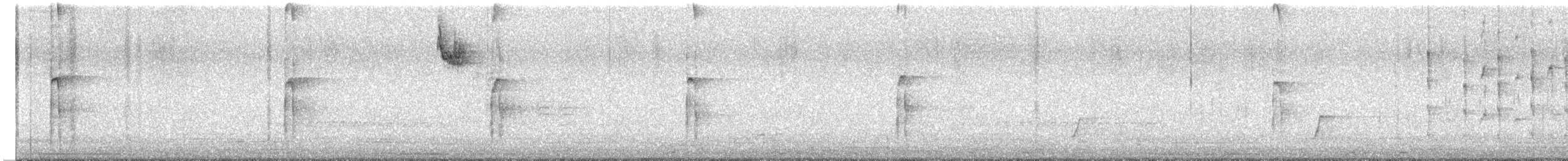 indianerspett (villosus gr.) - ML615413595