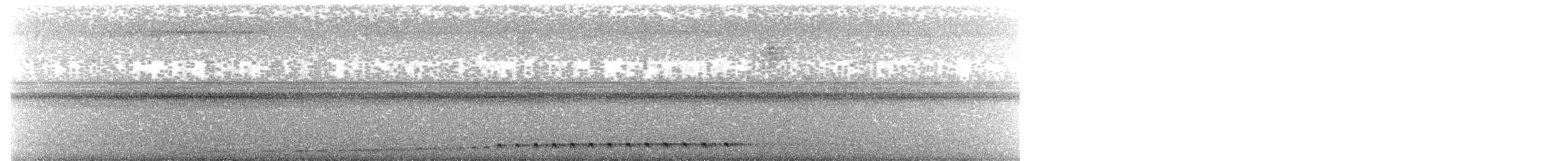 White-throated Nightjar - ML615414672