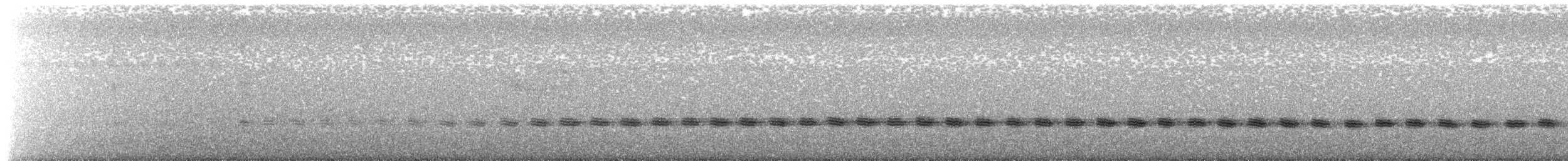 Sahul Cicadabird - ML615415362
