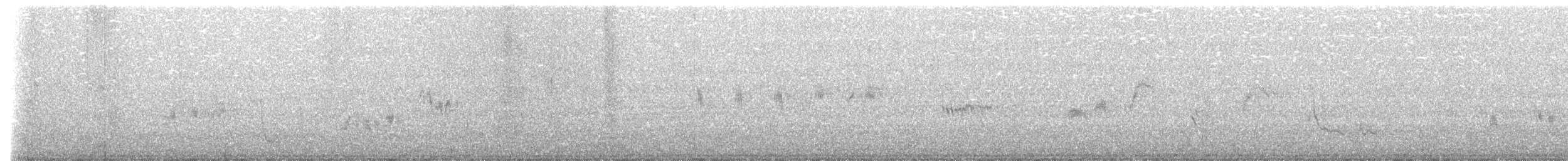 Mirlo Acuático Norteamericano - ML615418046