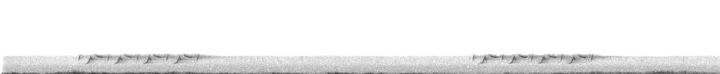 Каролинский крапивник - ML615418252