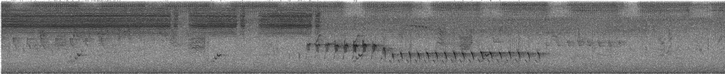White-winged Triller - ML615419024