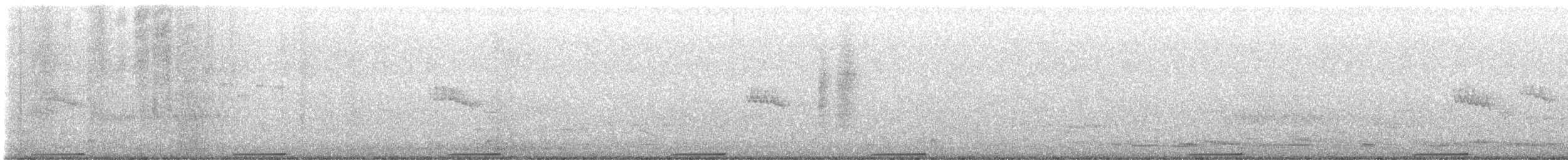 holub pestrokřídlý - ML615423614