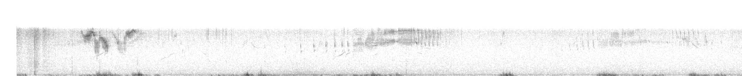 konipas luční (ssp. iberiae) - ML615424682