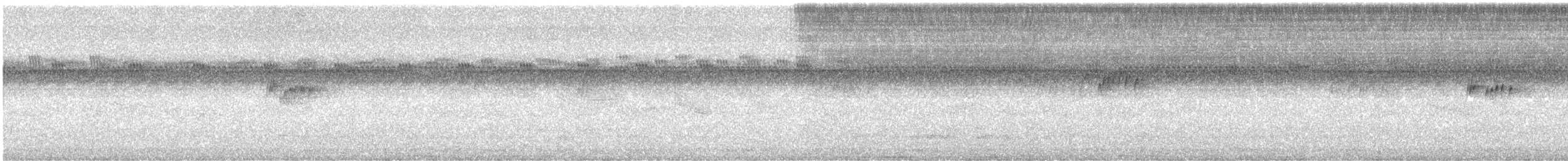 Лінивка-смугохвіст плямистобока - ML615426054