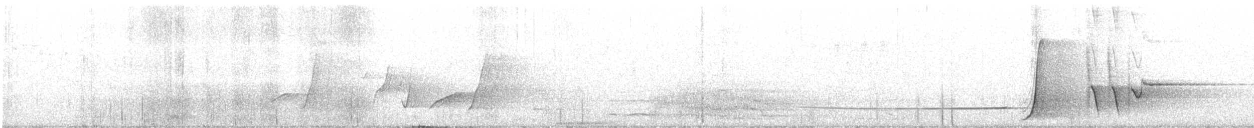 Kara Göğüslü Kamçıkuşu - ML615428551