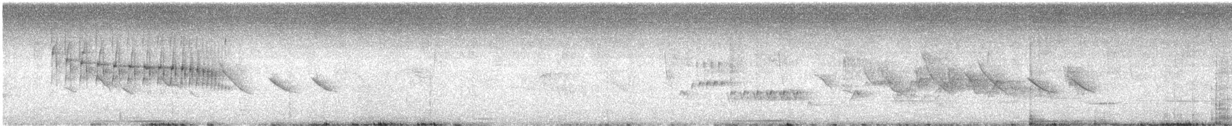 Araucaria Tit-Spinetail - ML615429371