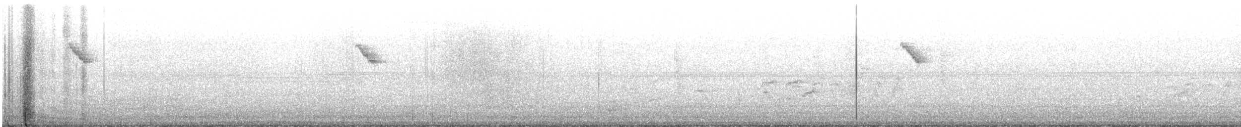 Веерохвостая корольковка - ML615430174