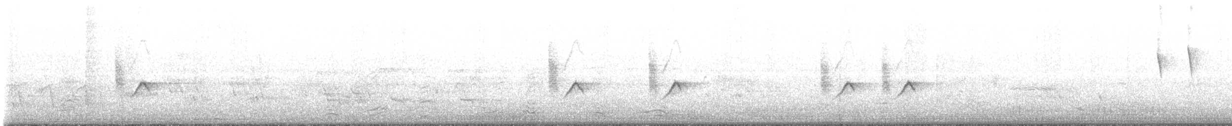 Маріка палестинська - ML615430541