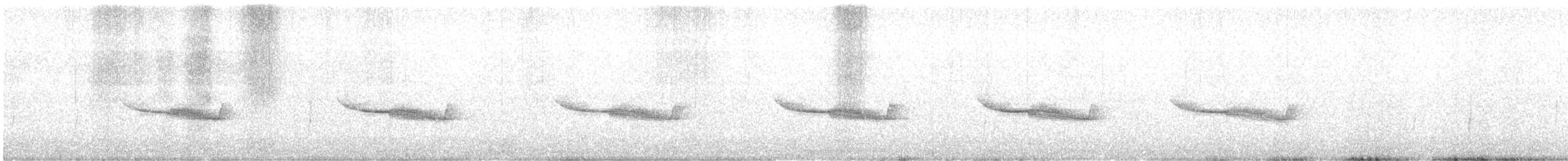 Breitspiegel-Nachtschwalbe - ML615431658