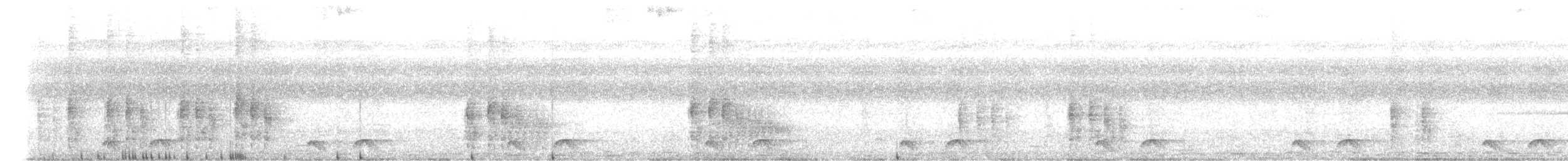 Дрімлюга плямистий - ML615432560