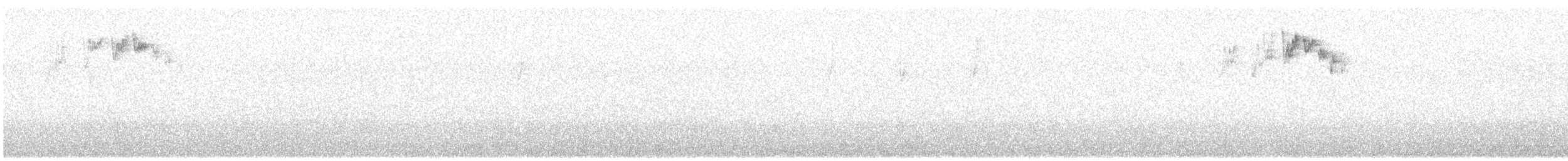 キクイタダキ（teneriffae） - ML615432683