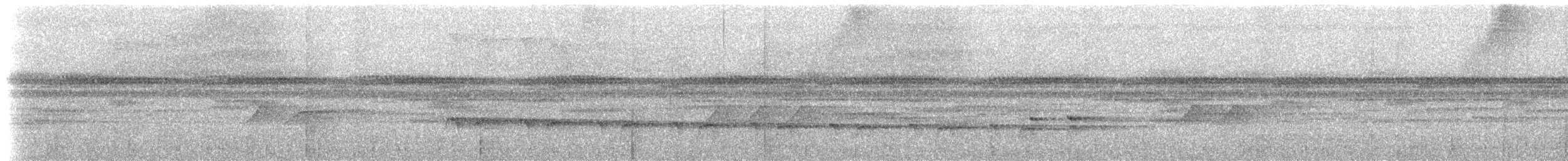 Дереволаз-міцнодзьоб середній [група promeropirhynchus] - ML615432839