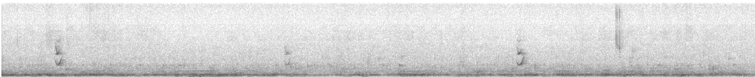 Патагонский курен - ML615434128