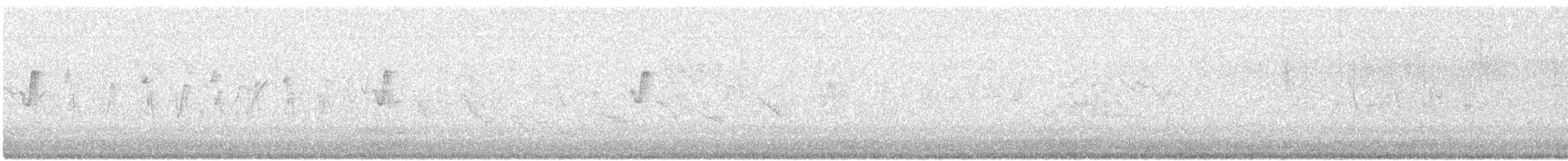 עלווית חורף קנרית - ML615435004