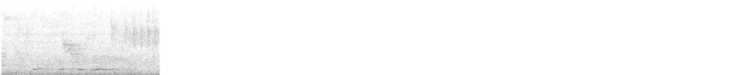 コバシバト - ML615438683