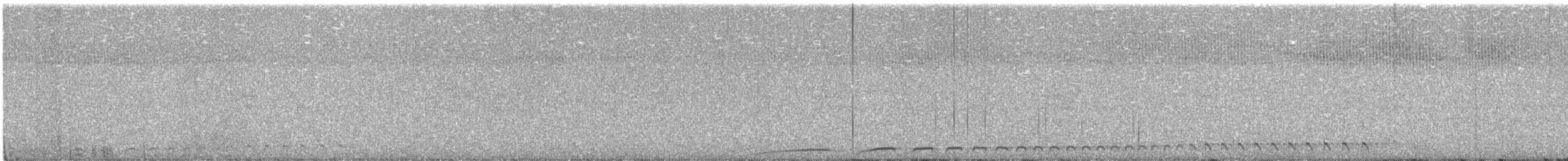 White-throated Nightjar - ML615440304