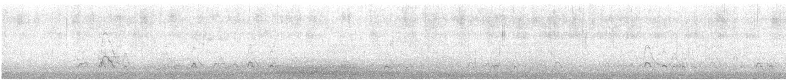 Canard siffleur - ML615440504