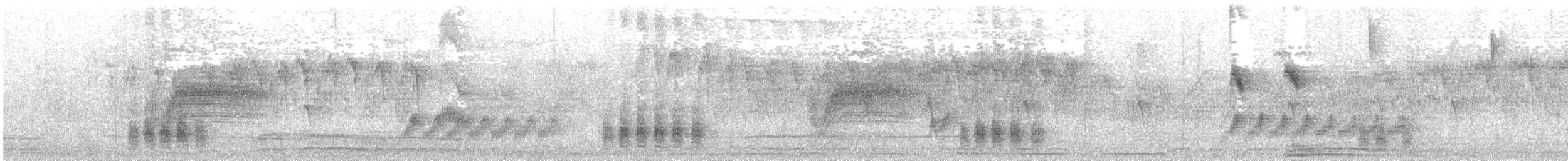 Пересмішник сивий (підвид magnirostris) - ML615444739