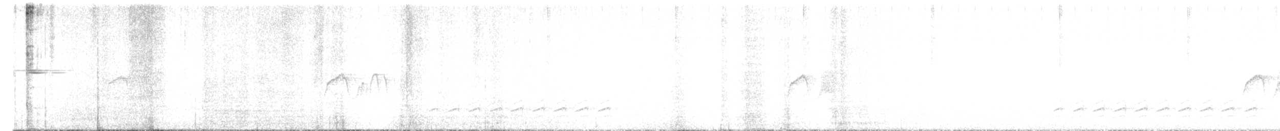 Светлобрюхий фиби - ML615446995