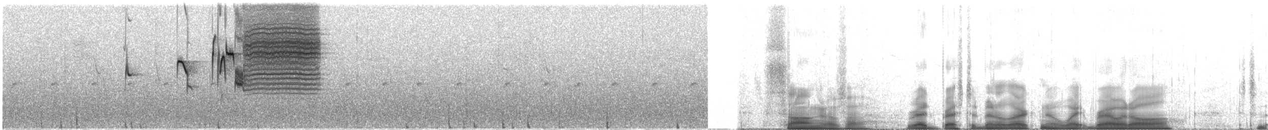 Red-breasted Meadowlark - ML615448528