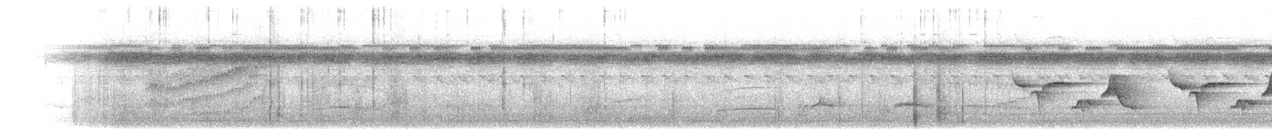 Troglodyte à poitrine tachetée - ML615448597
