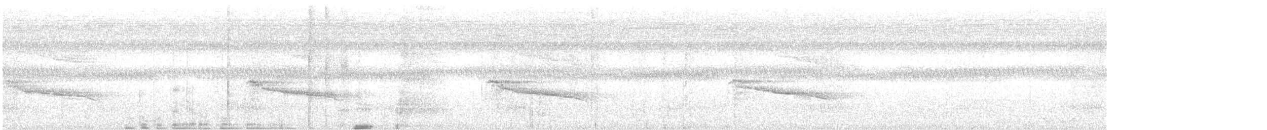 harpyje pralesní - ML615450284