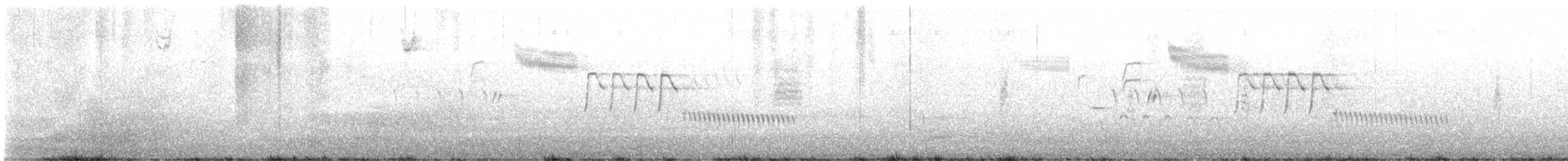 Bewick's Wren - ML615453776