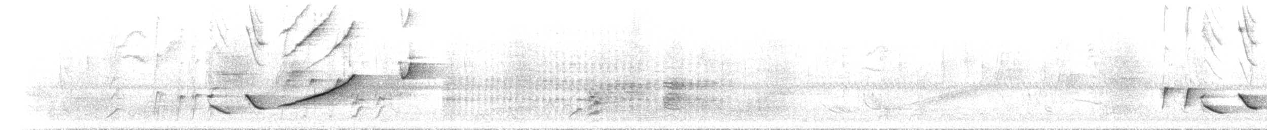 Pepitero Grisáceo Norteño - ML615458554