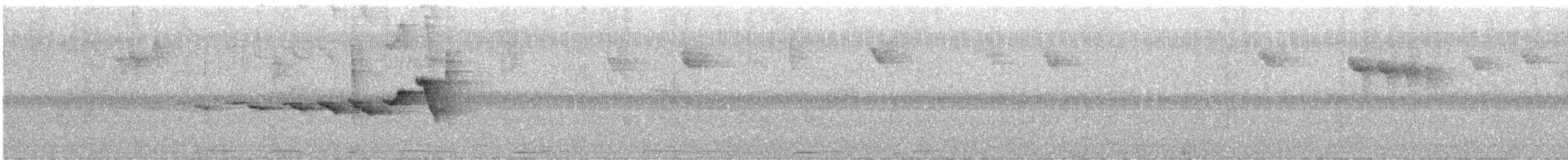 Веерохвостая корольковка - ML615459988