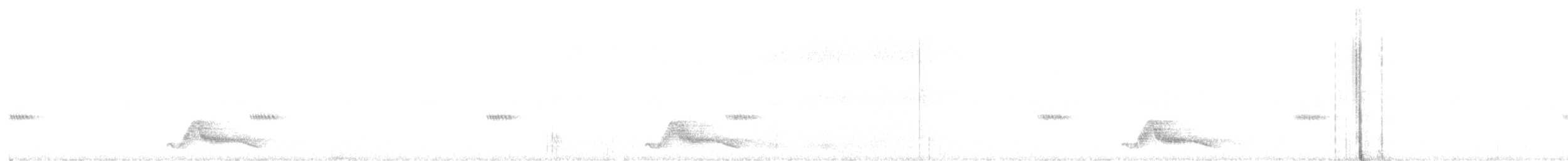 Common Pauraque - ML615461340