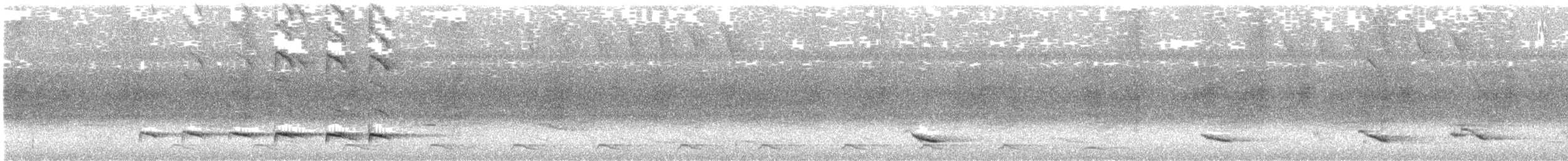 Zeledon Karıncakuşu - ML615461971