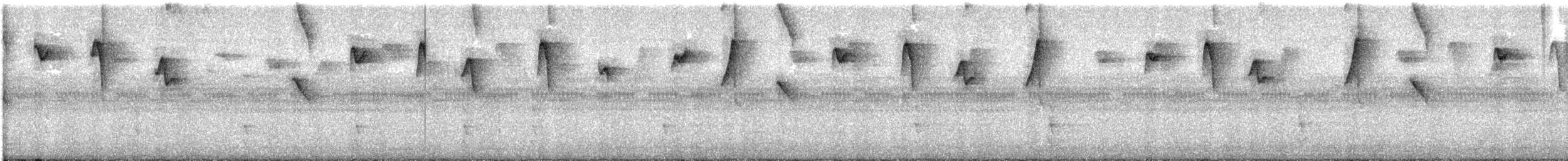 Пестрогорлый колибри-отшельник - ML615463521