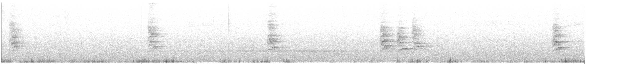 Kanarya Adaları İspinozu (canariensis/ombriosa) - ML615471087