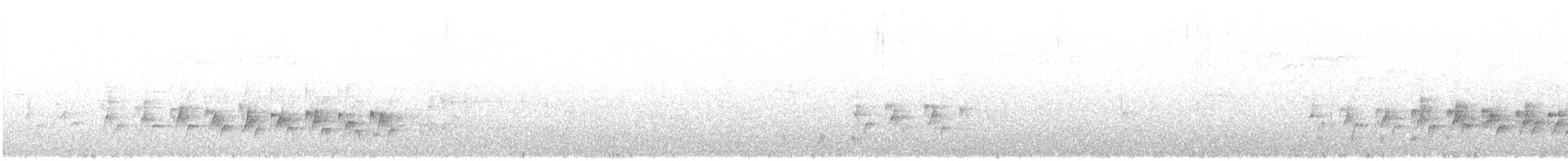 Kanarya Adaları İspinozu (canariensis/ombriosa) - ML615471231