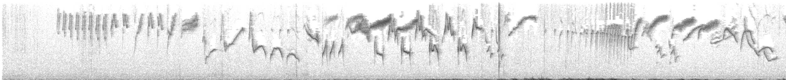 Tohi à nuque claire - ML615473200