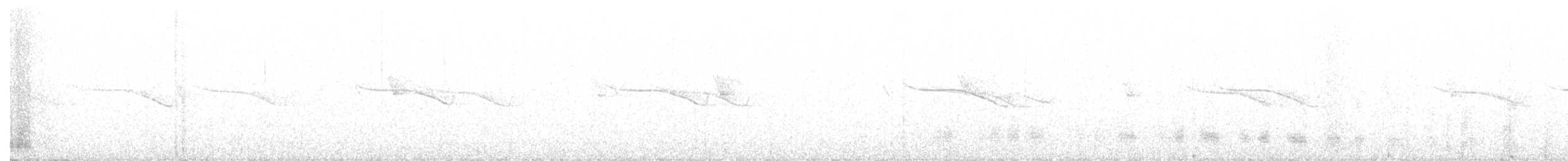 Breitspiegel-Nachtschwalbe - ML615473673