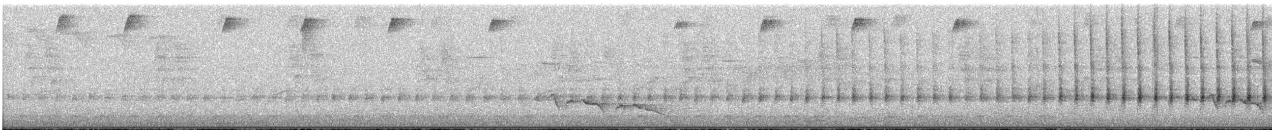 Черноухий колибри - ML615475166