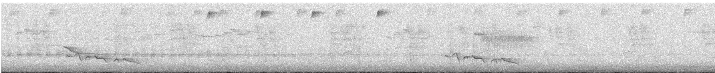 Kara Gagalı Koca Vireo - ML615475175