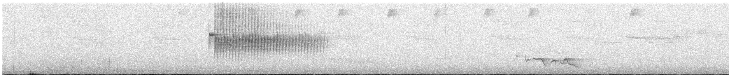 Percefleur à flancs blancs - ML615475248