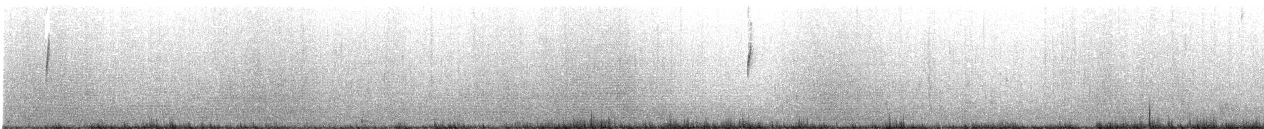 Gray-flanked Cinclodes - ML615478816