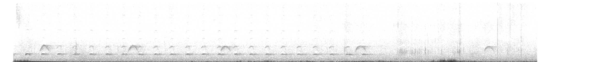 Chevêchette australe - ML615479827