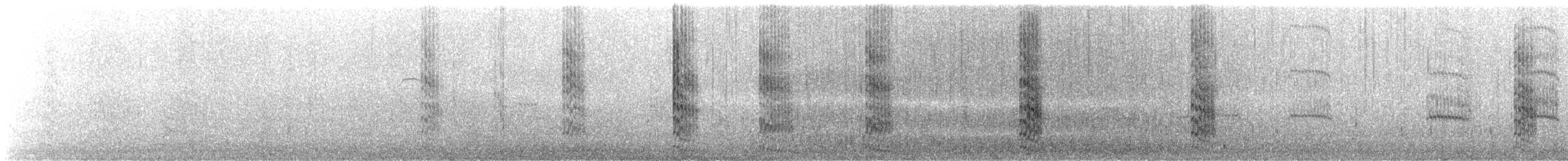 White-fronted Tern - ML615479985